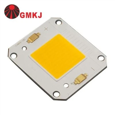 Integruotas COB LED lustas 20W 30W 50W 80W 100W