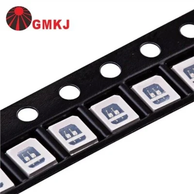 {{0}}.2W 0.5W 1W Raudona Mėlyna Žalia Gintaro spalvos 2835 LED