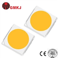 LED SMD 3030 6V 1w 2w Chip White 6500k